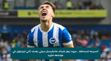 السرعة الساحقة.. جرودا يهز شباك مانشستر سيتي بهدف ثاني لبرايتون في مواجهة مثيرة